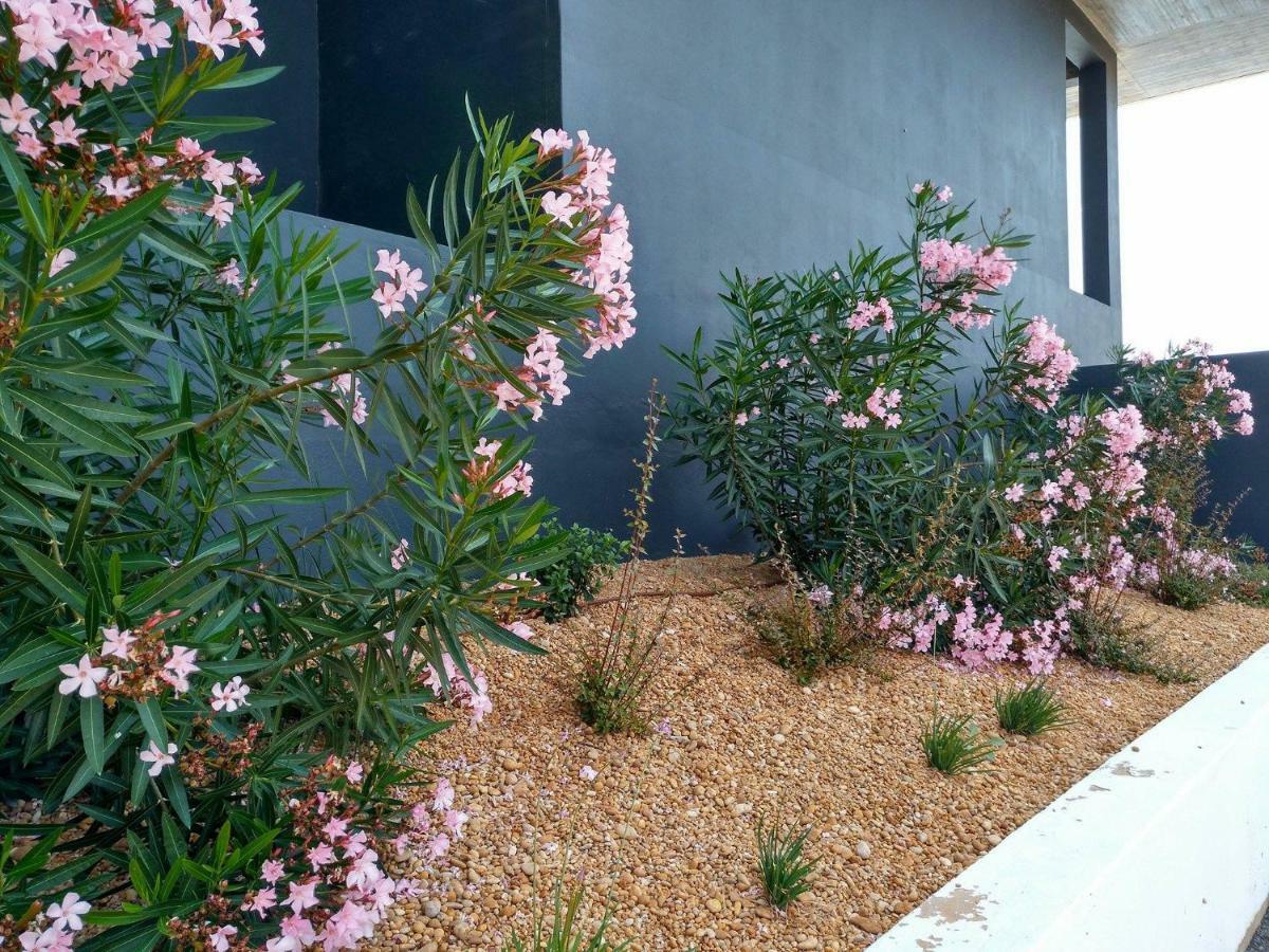 Casa Sensa Daire Albufeira Dış mekan fotoğraf